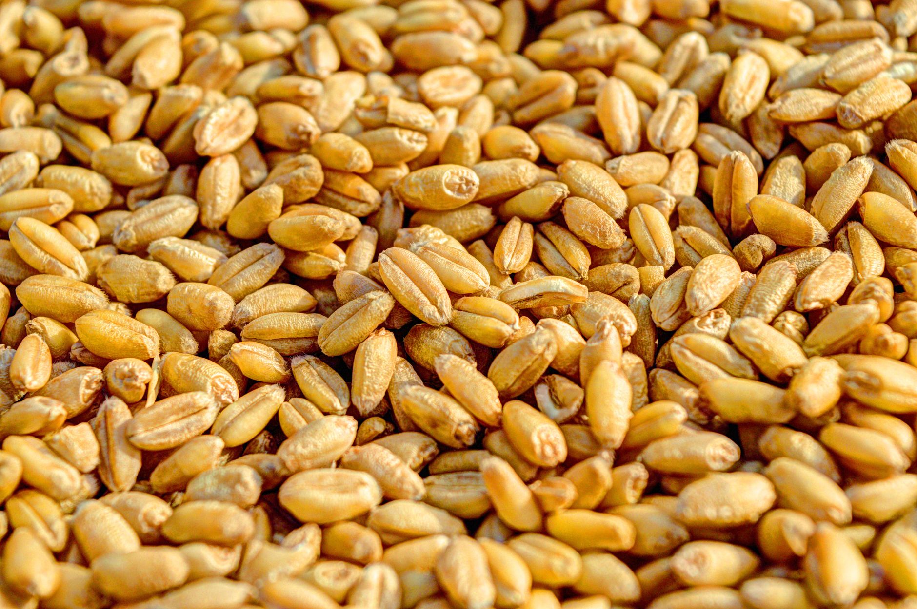CPG Ingredient Cost Management: What to Do When Your Supplier Raises Prices